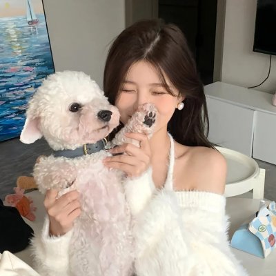 最后的飞行